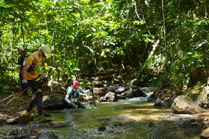 BIB: 
                            <button type="button" onclick="openModal(21844149)" class="btn btn-primary btn-sm float-right btn-popup" data-toggle="modal" data-target=".modal-high-quality">
                        <i class="fas fa-shopping-cart"></i> Add to Cart
                    </button>
                                            <button type="button" onclick="isThisMe(21844149, true)" class="btn btn-success btn-sm float-right btn-popup btn-isme hidden" data-toggle="tooltip" data-placement="bottom" title="นี่คือรูปของคุณใช่ไหม คลิกที่นี่เพื่อเอาเข้าอัลบั้ม">
                        <i class="fas fa-plus"></i> Add to album
                    </button>
                    <button type="button" onclick="isThisMe(21844149, false)" class="btn btn-warning btn-sm float-right btn-popup btn-isnotme hidden">
                        <i class="fas fa-ban"></i> Remove from album
                    </button>